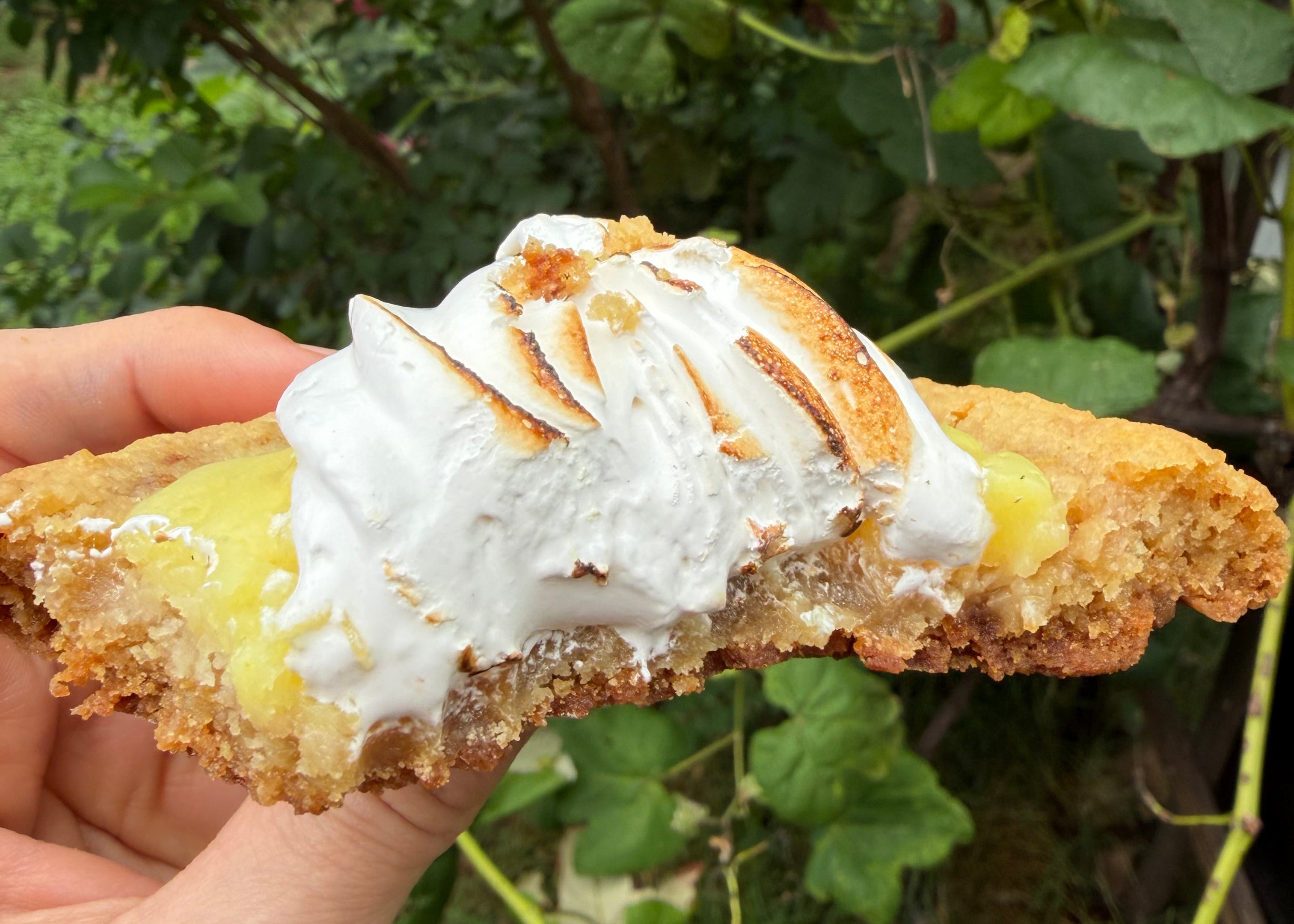 Lemon Meringue Pie