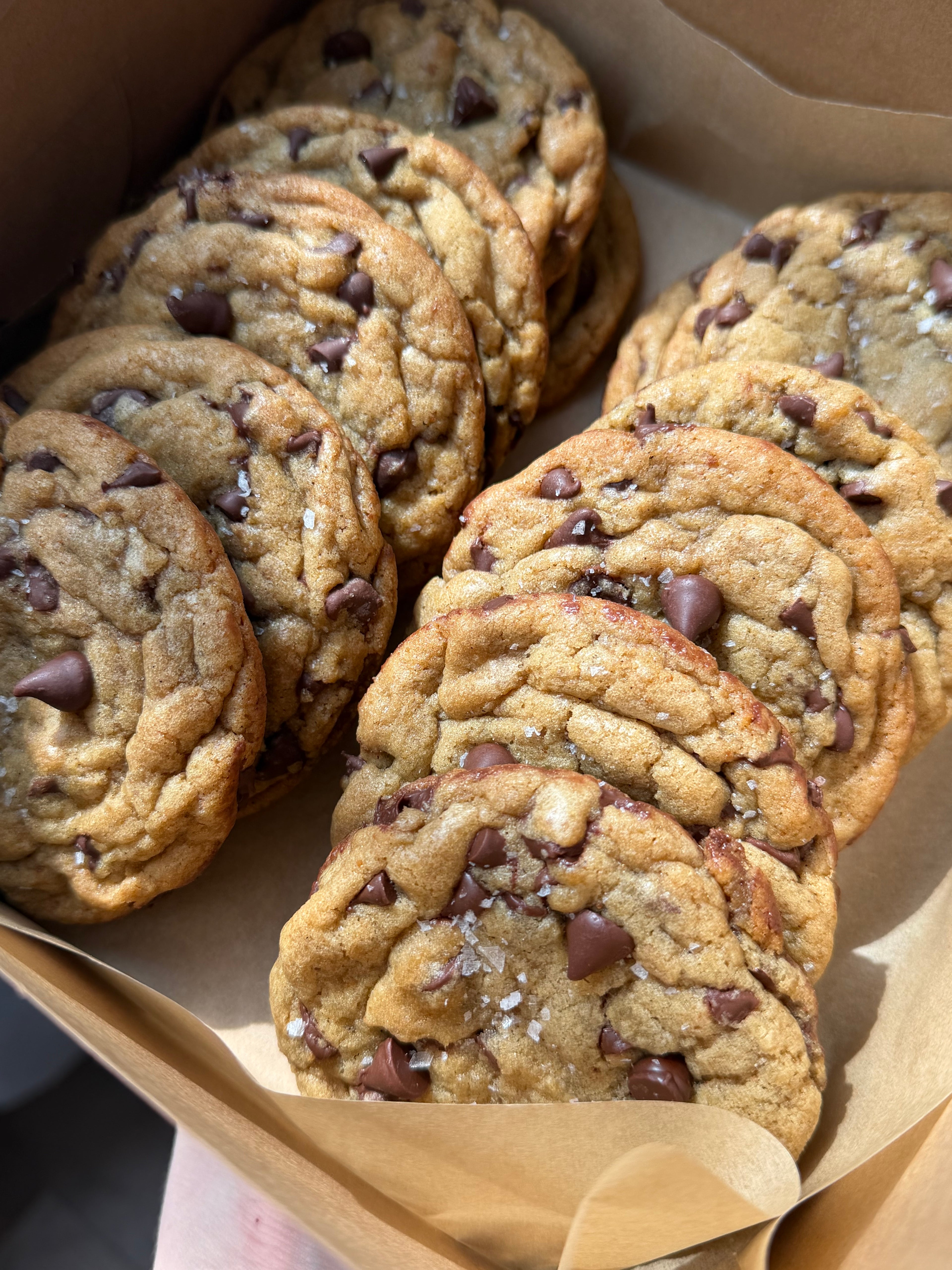 Chocolate Chip (1 dozen)