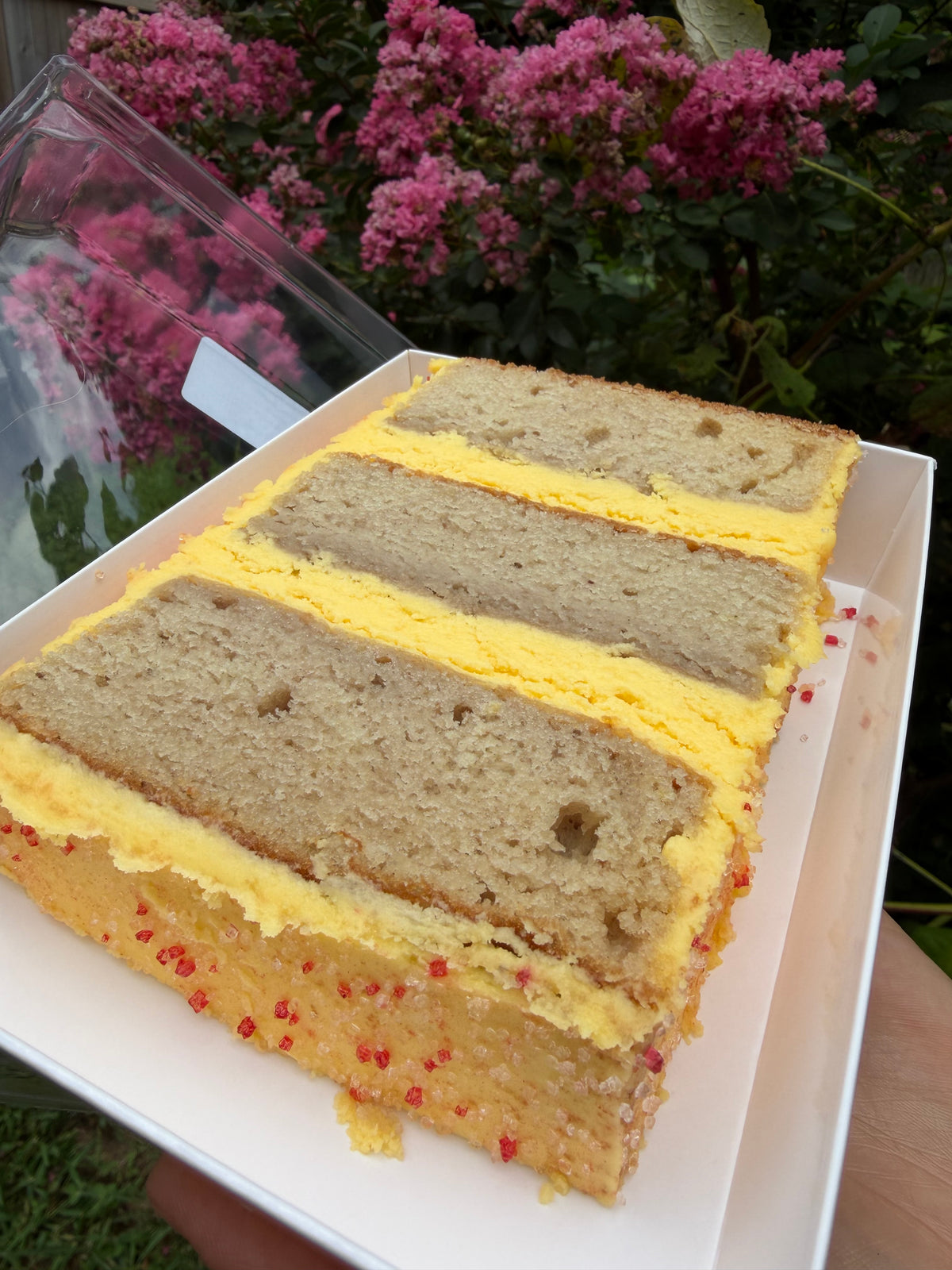 Layered cake slices